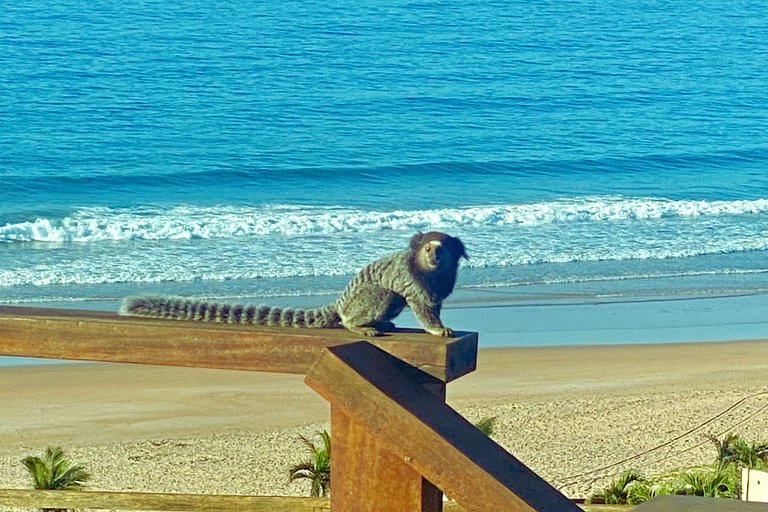 Loft incrível de frente para o mar no Morro Mágico
